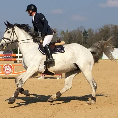 Description de l'image