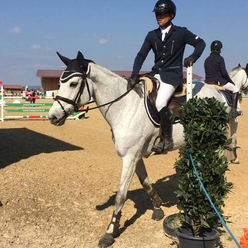 Description de l'image