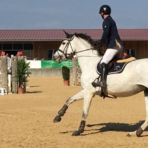 Description de l'image