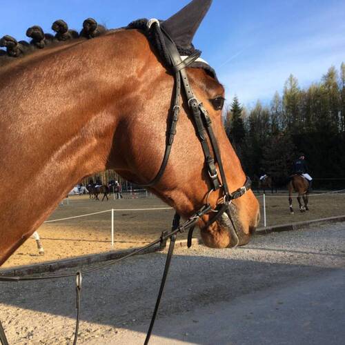 Description de l'image