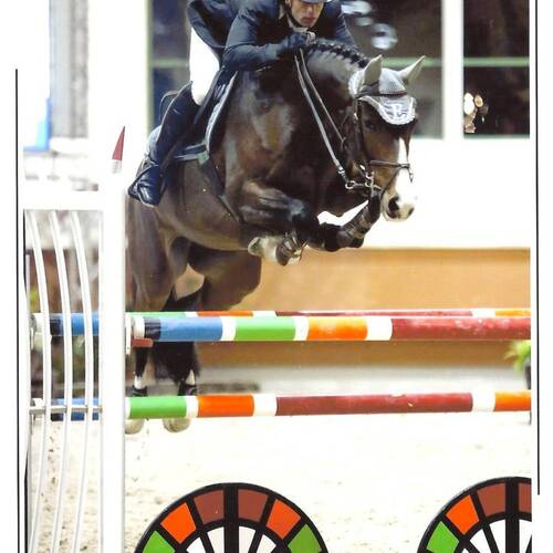 Description de l'image