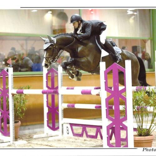 Description de l'image