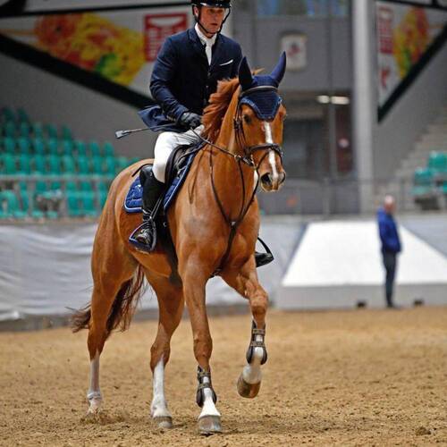 Qolor of the sun de la fin CH