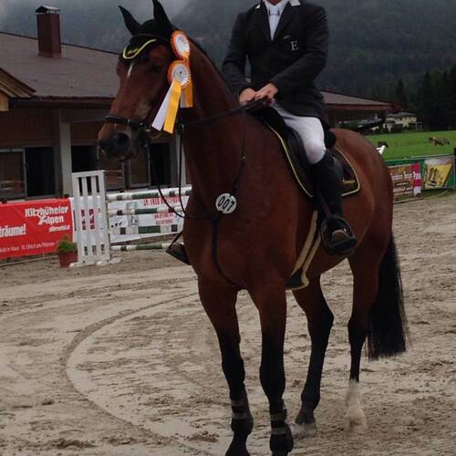 Description de l'image