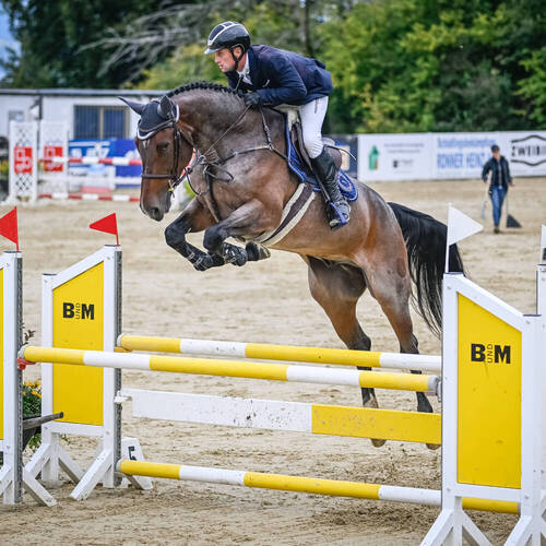 Million's Manitou G CH