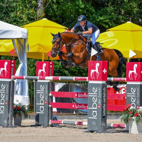 Cadet du Cache Pot Z