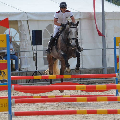 Description de l'image