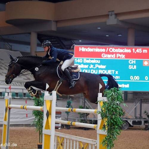 CREATOR: gd-jpeg v1.0 (using IJG JPEG v62), quality = 95