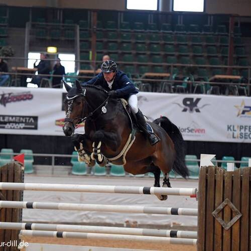 CREATOR: gd-jpeg v1.0 (using IJG JPEG v62), quality = 95