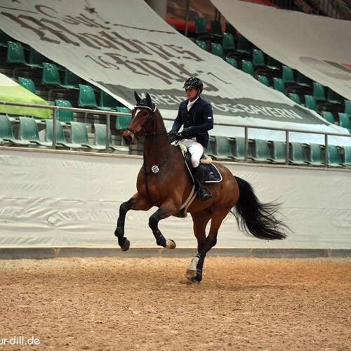 CREATOR: gd-jpeg v1.0 (using IJG JPEG v62), quality = 95