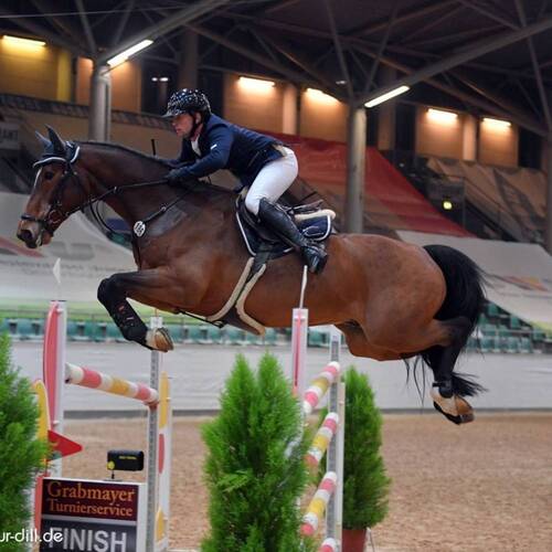 CREATOR: gd-jpeg v1.0 (using IJG JPEG v62), quality = 95