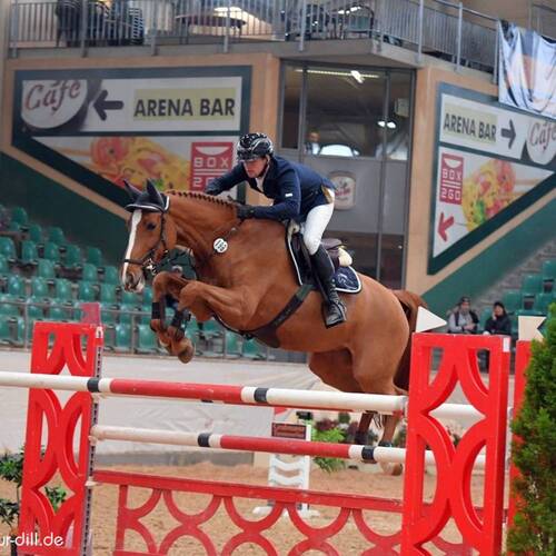 CREATOR: gd-jpeg v1.0 (using IJG JPEG v62), quality = 95