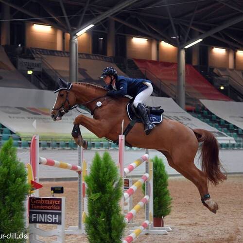 CREATOR: gd-jpeg v1.0 (using IJG JPEG v62), quality = 95