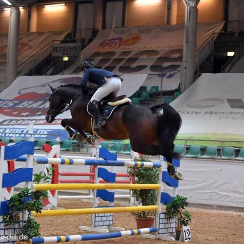 CREATOR: gd-jpeg v1.0 (using IJG JPEG v62), quality = 95