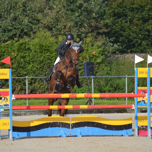 Description de l'image