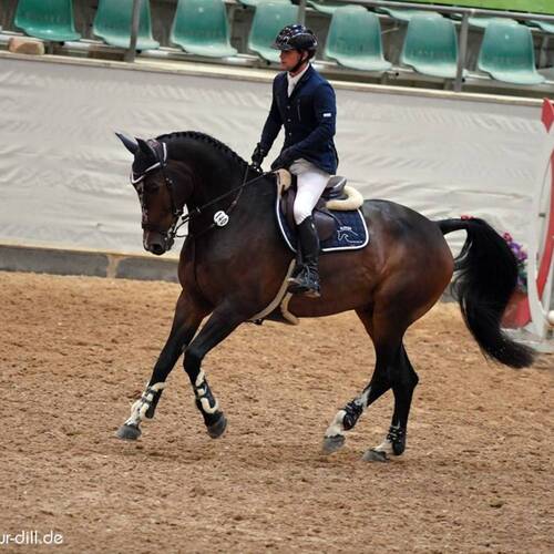 CREATOR: gd-jpeg v1.0 (using IJG JPEG v62), quality = 95