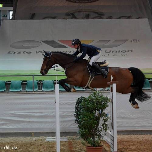 CREATOR: gd-jpeg v1.0 (using IJG JPEG v62), quality = 95