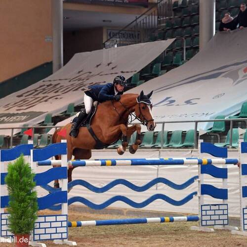 CREATOR: gd-jpeg v1.0 (using IJG JPEG v62), quality = 95