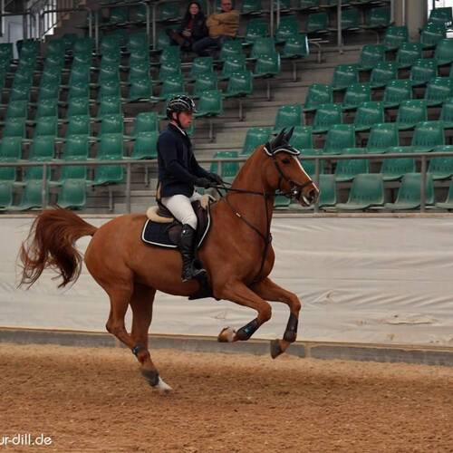 CREATOR: gd-jpeg v1.0 (using IJG JPEG v62), quality = 95