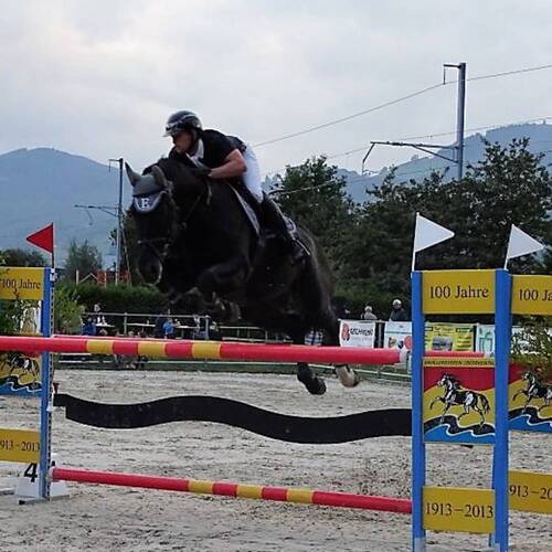 Description de l'image