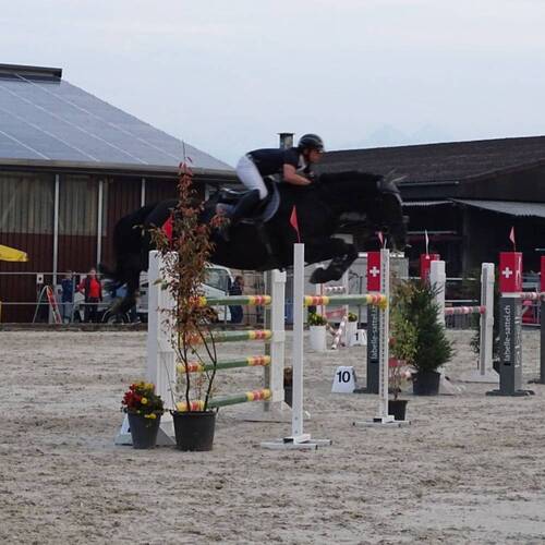 Description de l'image