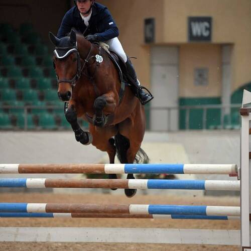 CREATOR: gd-jpeg v1.0 (using IJG JPEG v62), quality = 95