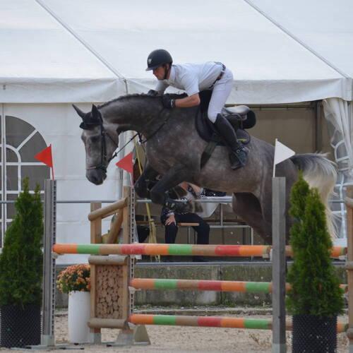 Description de l'image