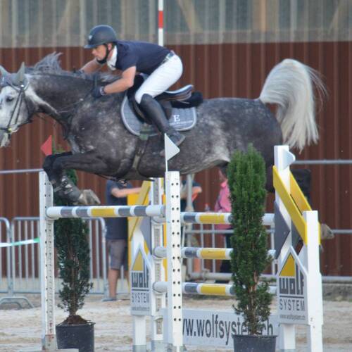 Description de l'image