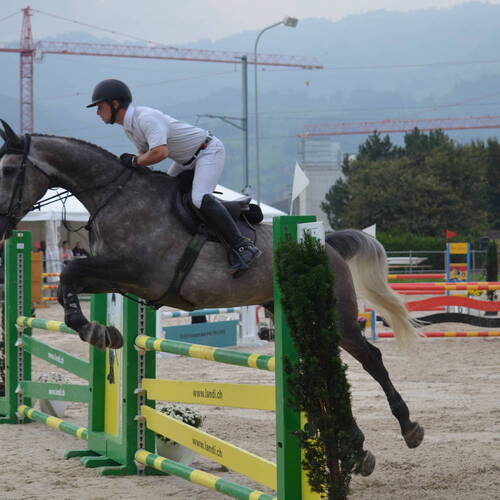 Description de l'image