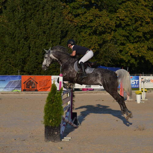 Description de l'image