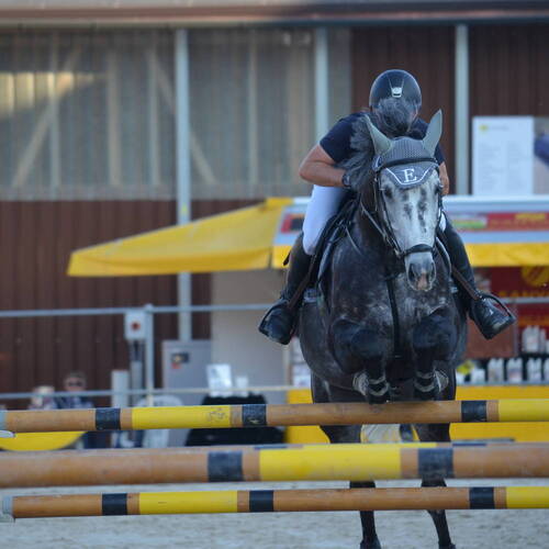 Description de l'image