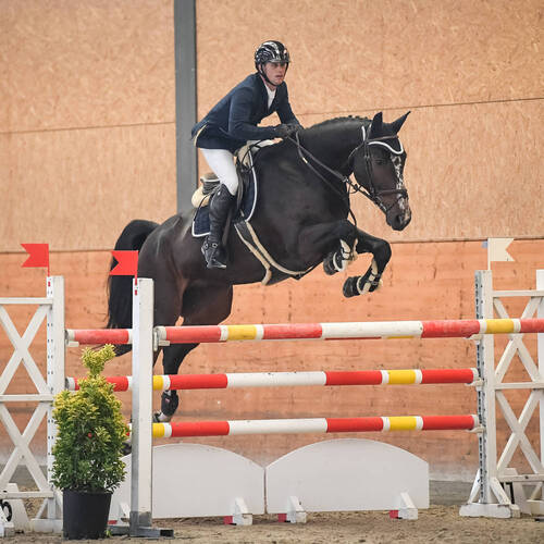 Description de l'image