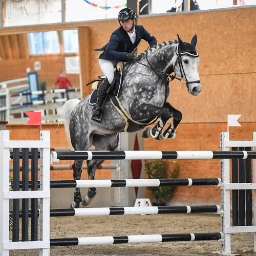 Description de l'image