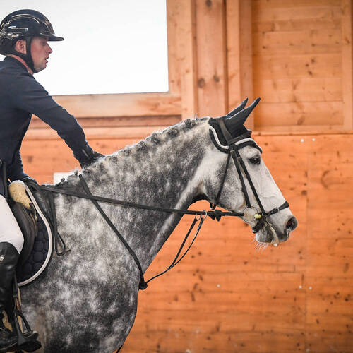 Description de l'image