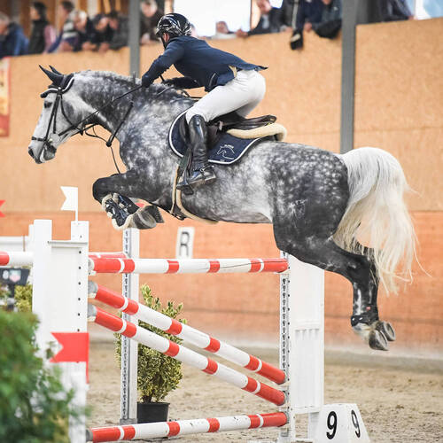 Description de l'image