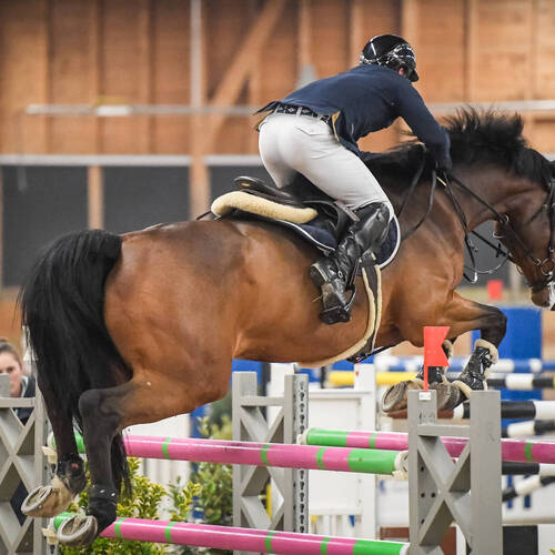 Description de l'image