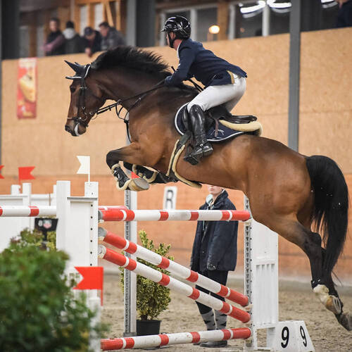 Description de l'image