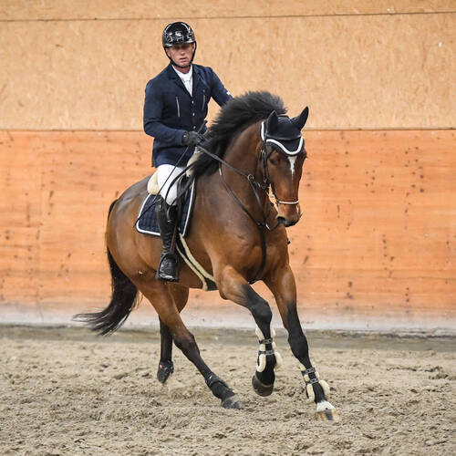 Description de l'image