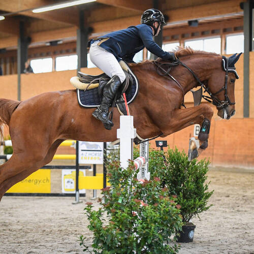 Description de l'image