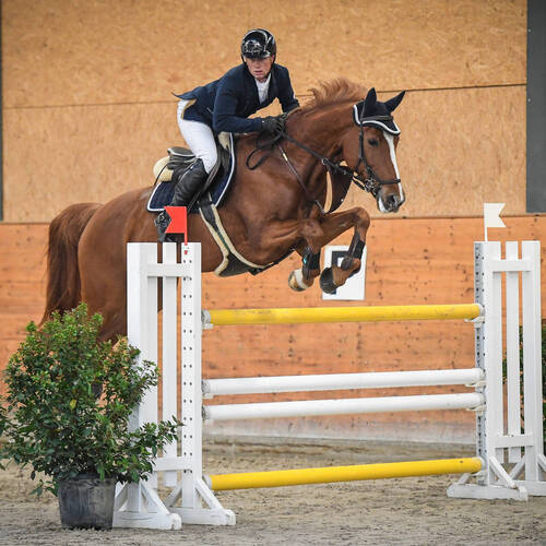 Description de l'image