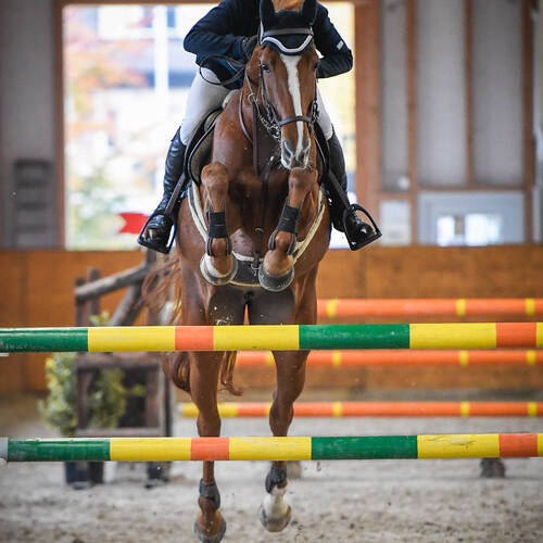 Description de l'image