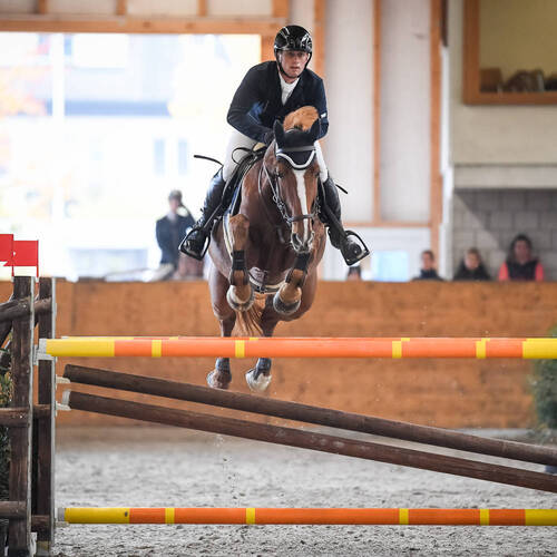 Description de l'image