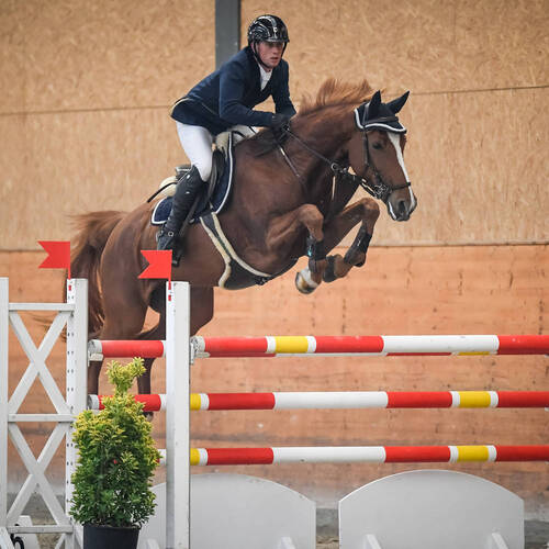 Description de l'image