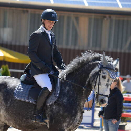 Description de l'image