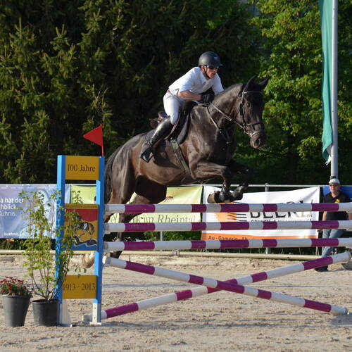 Description de l'image