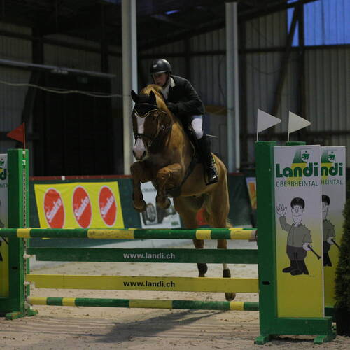 Description de l'image