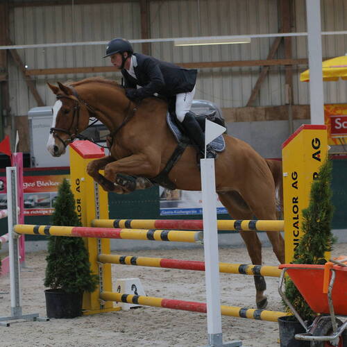 Description de l'image