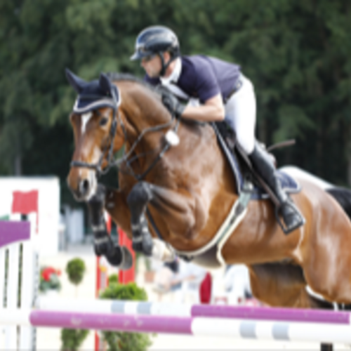 Linaro (genannt Päuli)