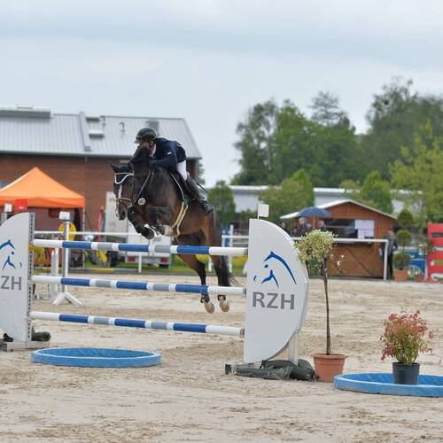 Qui Rit PJ - VERKAUFT