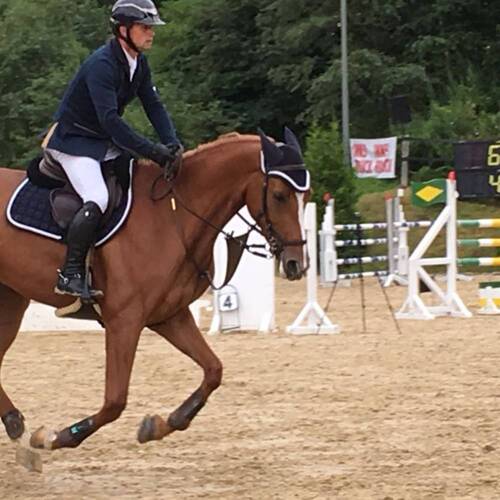 Description de l'image